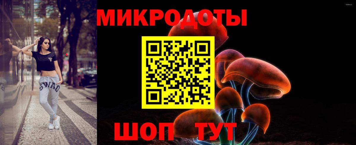 Псилоцибиновые грибы Psilocybine cubensis  Вход с VPN  купить закладку  Москва  Галлюциногенные грибы мухоморы 